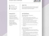 Sample Resume for Environmental Health and Safety Manager Safety Manager Resume Templates – Design, Free, Download …