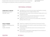 Sample Resume for Epc Project Manager Senior Project Manager Resume Examples In 2022 – Resumebuilder.com
