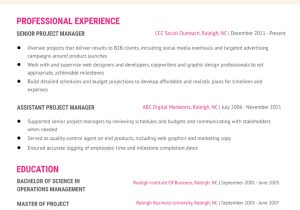 Sample Resume for Epc Project Manager Senior Project Manager Resume Examples In 2022 – Resumebuilder.com