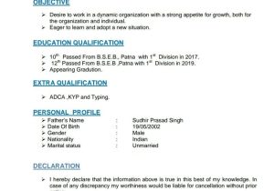 Sample Resume for Equity Dealer India Subham Chauhan – Equity Dealer – Lucknow, Uttar Pradesh, India …