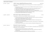 Sample Resume for Esl Teaching Job 19 Esl Teacher Resume Examples & Writing Guide