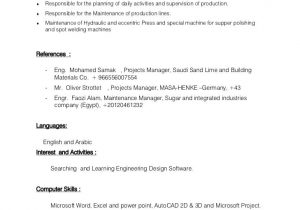 Sample Resume for Ethical Hacker Fresher Custom Essay Writing Service It Engineer Resume