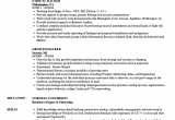 Sample Resume for Ethical Hacker Fresher Hacker Resume Samples