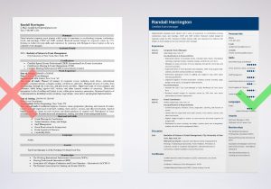 Sample Resume for event Management Job Fresher event Manager Resume Sample (template & Guide)