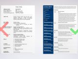 Sample Resume for Executive assistant to Director Executive assistant Resume Sample [lancarrezekiqskills & Objective]
