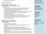 Sample Resume for Executive assistant to President Executive assistant to Ceo Resume Samples