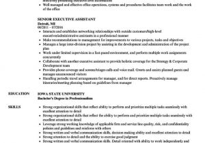 Sample Resume for Executive assistant to Senior Executive Executive assistant Resume Samples