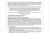Sample Resume for Executive assistant to Senior Executive Free 10 Sample Executive Resume Templates In Ms Word