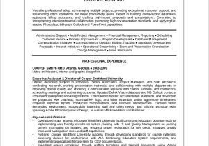 Sample Resume for Executive assistant to Senior Executive Free 10 Sample Executive Resume Templates In Ms Word