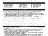 Sample Resume for Executive Director Non Profit Executive Director Resume Non Profit Service Project Manager …
