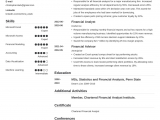Sample Resume for Executive Mba Application Best Mba Resume Examples Best Resume Examples