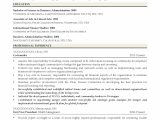 Sample Resume for Executive Mba Application Good Resume Examples for All Careers