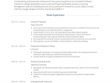 Sample Resume for Experienced assistant Professor In Engineering College assistant Professor Resume Samples and Templates