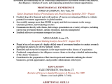 Sample Resume for Experienced Banking Professional Investment Banking Resume