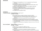 Sample Resume for Experienced Banking Professional Resume for Experienced Banking Professional Best Resume