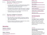 Sample Resume for Experienced Business Intelligence Developer Business Intelligence Developer Resume with Content Sample Craftmycv