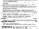 Sample Resume for Experienced Candidates Free Download Cv Resume Experience Candidate Implementation