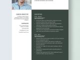 Sample Resume for Experienced Cognos Report Developer Free Free Cognos Report Developer Resume Template – Word, Apple …