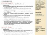 Sample Resume for Experienced Copy Editor Copy Editor Resume Samples