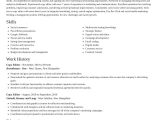 Sample Resume for Experienced Copy Editor Copy Editor Resumes