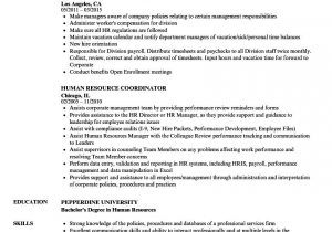 Sample Resume for Experienced Desktop Support Engineer Desktop Support Engineer Resume
