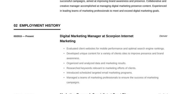 Sample Resume for Experienced Digital Marketing Manager Digital Marketing Manager Resume Example & Writing Guide Â· Resume.io