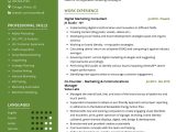 Sample Resume for Experienced Digital Marketing Manager Digital Marketing Manager Resume Sample 2022 Writing Tips …