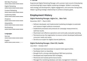 Sample Resume for Experienced Digital Marketing Manager Digital Marketing Resume Examples & Writing Tips 2022 (free Guide)