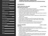 Sample Resume for Experienced Electrical Maintenance Manager Systems Maintenance Specialist Cv Sample 2022 Writing Tips …