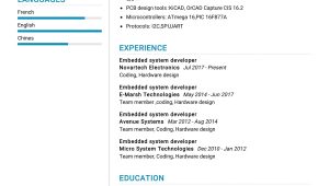 Sample Resume for Experienced Embedded Hardware Engineer Embedded System Developer Resume Sample 2022 Writing Tips …