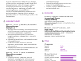Sample Resume for Experienced Finance Executive Finance Manager Resume Sample