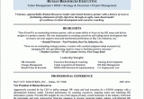 Sample Resume for Experienced Hr Executive Hr Executive Resume Sample — Thrive Resumes