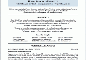 Sample Resume for Experienced Hr Executive Hr Executive Resume Sample — Thrive Resumes