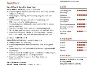 Sample Resume for Experienced In Excel Data Officer Resume Sample 2022 Writing Tips – Resumekraft