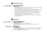 Sample Resume for Experienced Insurance Professional Insurance Sales Agent Resume Example
