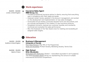 Sample Resume for Experienced Insurance Professional Insurance Sales Agent Resume Example