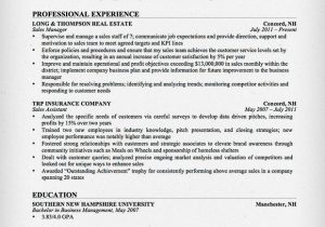 Sample Resume for Experienced Insurance Professional Insurance Sales Resume Sample