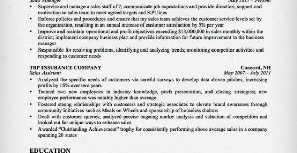Sample Resume for Experienced Insurance Professional Insurance Sales Resume Sample