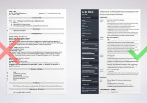 Sample Resume for Experienced It Recruiter Recruiter Resume Sample [entry Level, It, Hr, Corporate]