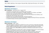 Sample Resume for Experienced Mainframe Developer Mainframe Developer Resume Samples