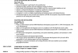 Sample Resume for Experienced Mainframe Developer Mainframe Developer Resume Samples