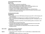 Sample Resume for Experienced Mainframe Developer Mainframe Developer Resume Samples