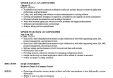Sample Resume for Experienced Mainframe Developer Sample Resume for Experienced Mainframe Developer