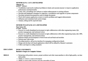 Sample Resume for Experienced Mainframe Developer Sample Resume for Experienced Mainframe Developer