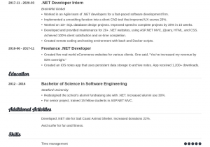 Sample Resume for Experienced Net Developer Net Developer Resume Samples [experienced & Entry Level]
