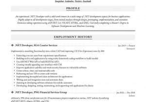 Sample Resume for Experienced Net Developer Net Developer Resume & Writing Guide