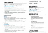 Sample Resume for Experienced Nursing assistant top-notch Certified Nursing assistant Service Resume Examples …