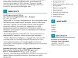 Sample Resume for Experienced Operations Manager Operation Manager Resume Sample 2022 Writing Tips – Resumekraft