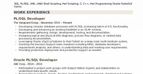 Sample Resume for Experienced Pl Sql Developer Pl Sql Developer Resume Samples