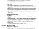 Sample Resume for Experienced Python Developer Awesome Resume Template for Python Developer Addictips